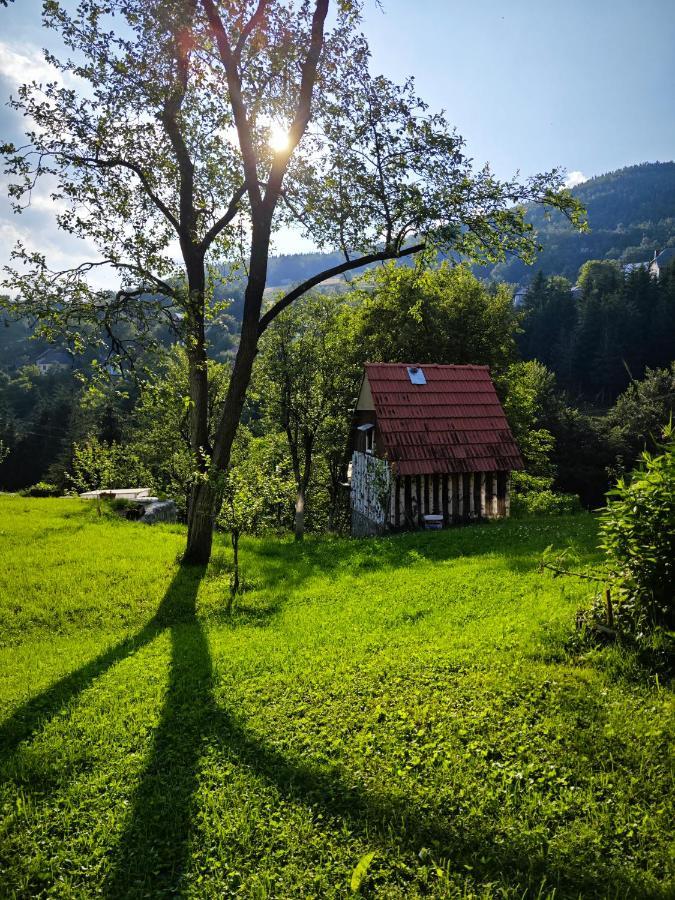 Mini Garden Guest House Mojkovac Exterior photo